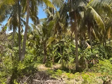 Visit With A Loved One Who Has Passed Over