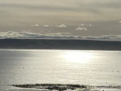 Visit Your Inner Child