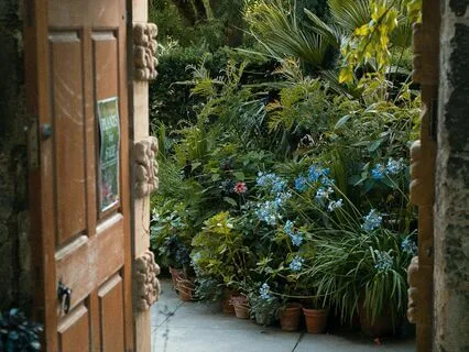 Visit Your Soul Garden