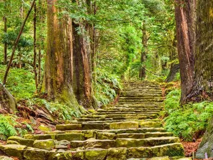 Visiting Your Safe Place (No Music)