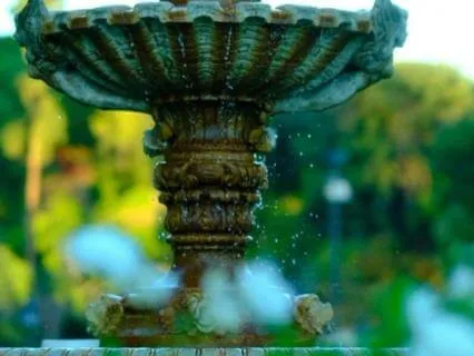 Visual Garden Meditation: Creating Lightness, Peace And Calm