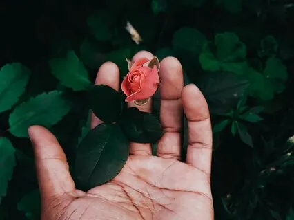 Revitalize Your Mind And Spirit: Embrace Change Meditation