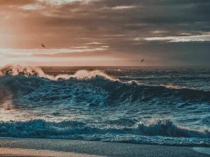 Visual Meditation, You Are A Survivor