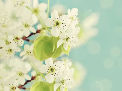 Visualisation For Belonging