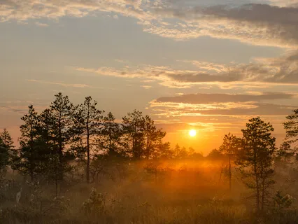 Visualisation For Creating A Morning Routine