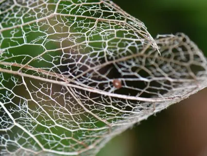 Visualisation For Letting Go