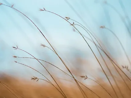 Visualisation - Sending Loving Energy Into The World