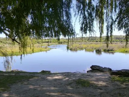 Visualisation To Create A Safe Space For All Things