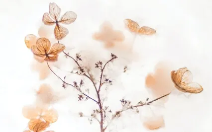 Visualisation To Help Create A New Loving World 