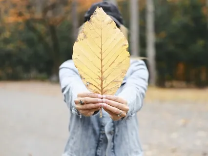 Visualisation For Stress Management