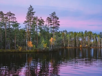 Visualise Prosperity