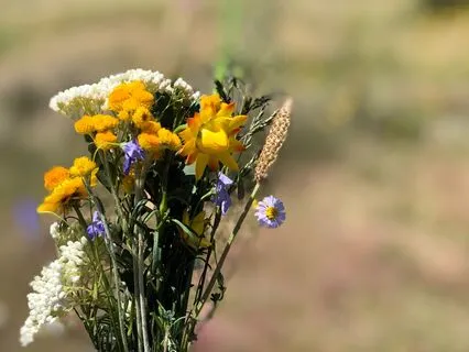 Visualise Your Dream House