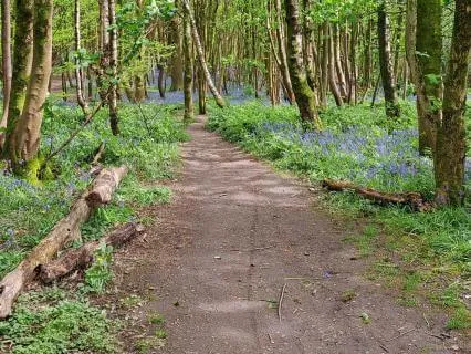 Visualising A Safe Place For Stress Relief