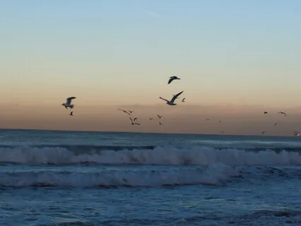 Visualization & Manifestation Meditation: At The Ocean