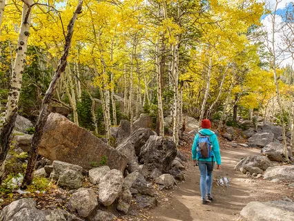 Visualization As An Aspen