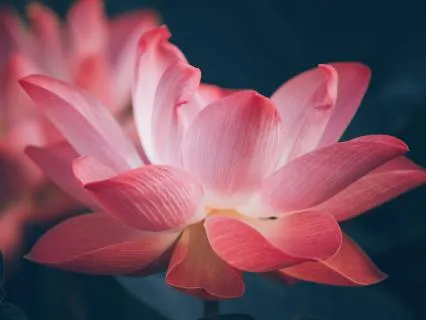 Visualization For Cultivating Compassion