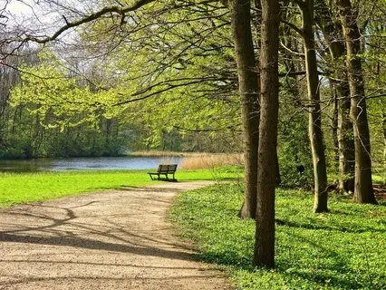 Visualization for Deep Relaxation