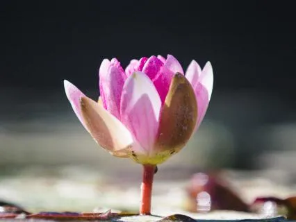 Visualization For Emotional Containment