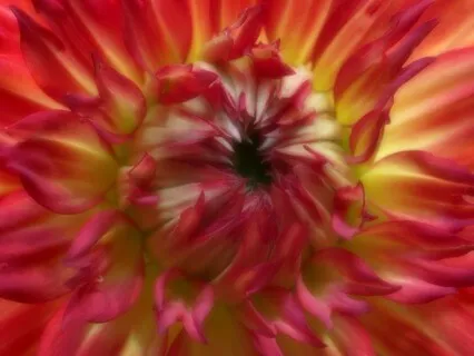 Visualization For Goal Setting