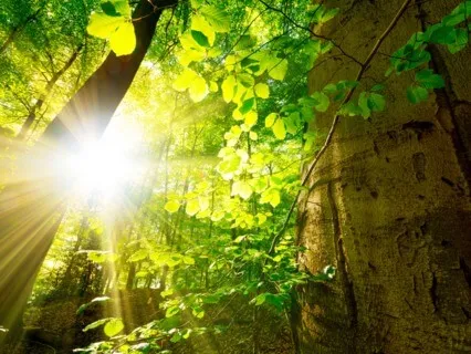 Visualization For Gratitude