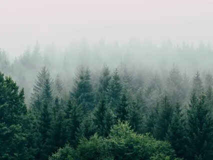 Visualization For Grounding And Release