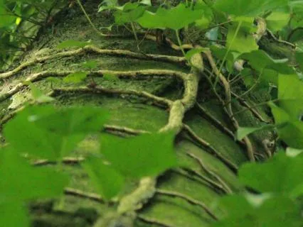 Visualization For Grounding