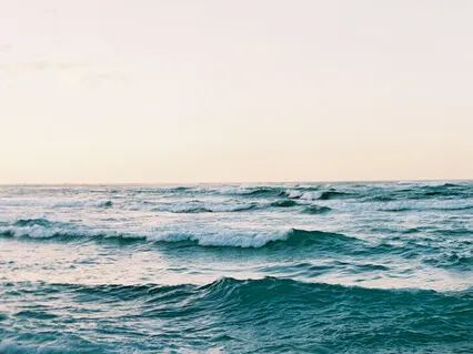 Visualization For Medical Procedures And Healing