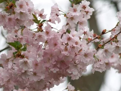 Visualization For Purpose & Connection