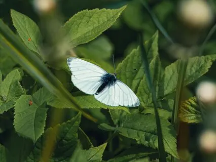 Visualization For Real Estate Success