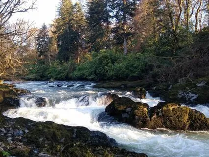 Visualization For Releasing What You Need To Let Go Of