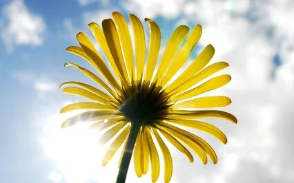 Visualization - Goal In The Future