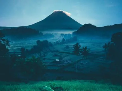 Visualization Journey With Dragon And Lion Animal Guides