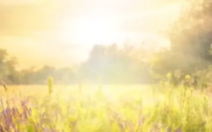 Visualization Meditation