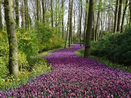 Visualization Meditation For Clarity