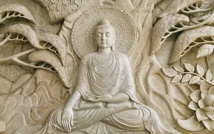 Visualization Of The Field Of Accumulation