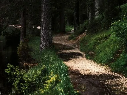 Visualization of the Road for managing Changes