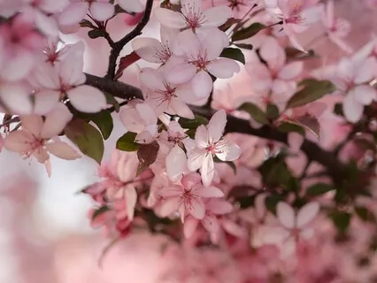 Visualization To Calm & Ground