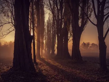 Visualization To Help Create Healthy Boundaries