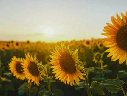 Visualization To Shift Out Of Lack And Into Abundance