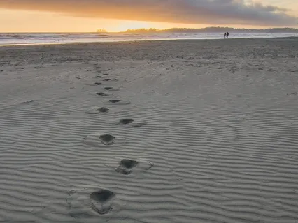 Visualization: Walking With Your Guru