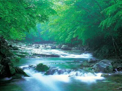 Visualize A Calm Restful Sleep