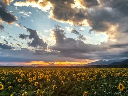 Visualize An Abundant Lifestyle