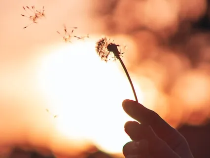 Visualize A Positive Future