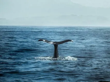 Your Words Are Powerful