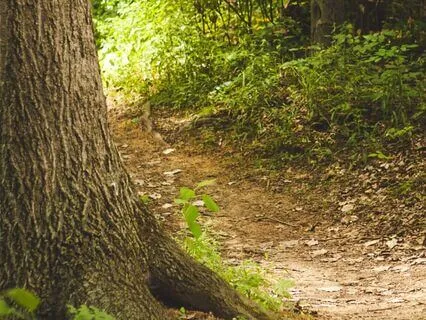 Visualize Meeting With Your Upper Left Wisdom Tooth