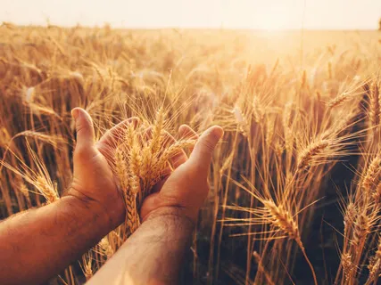 Visualize The Future You Want