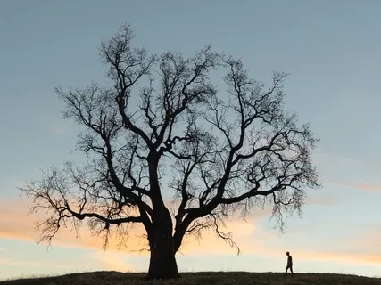 Visualize World Peace- Manifest An Ideal Society Within Uncertain Times