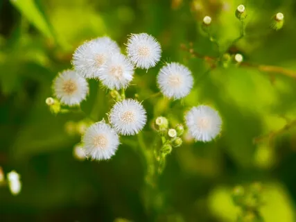 Visualize Your Chakras