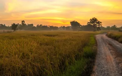 Visualize Your Day With A Smile