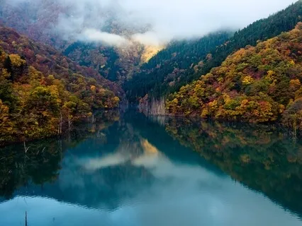 Visualize Your Dream Life